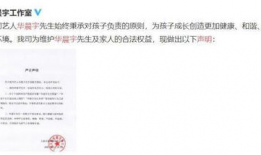 吃瓜娱乐圈的作文,揭秘明星幕后故事