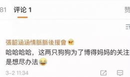 娱乐圈吃瓜账号是什么,幕后真相大曝光
