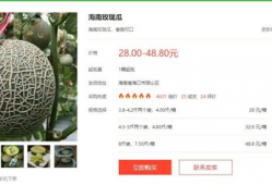 吃瓜娱乐圈文字版小说,瓜田里的秘密风云