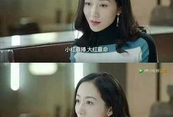 两位吃瓜教授娱乐圈小说,两位教授的娱乐圈奇幻之旅