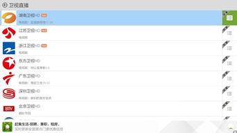 91奥运直播,激情燃烧的体育盛宴