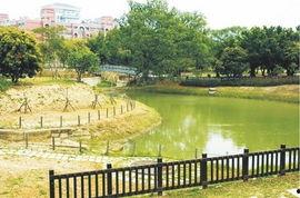 麻豆古,探寻历史长河中的文化瑰宝