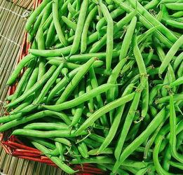 阿麻豆,探寻神秘东方的古老智慧